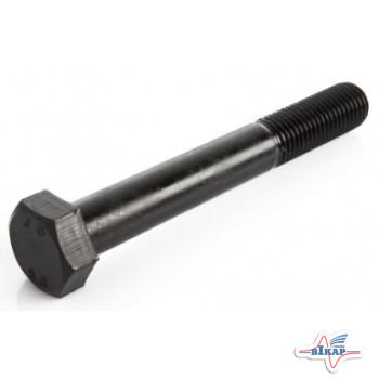 Болт M20x110 (Peters)