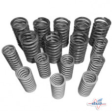 Пружина клапана впускного и выпускного (к-т на двиг. 8+8) (пр-во ММЗ)