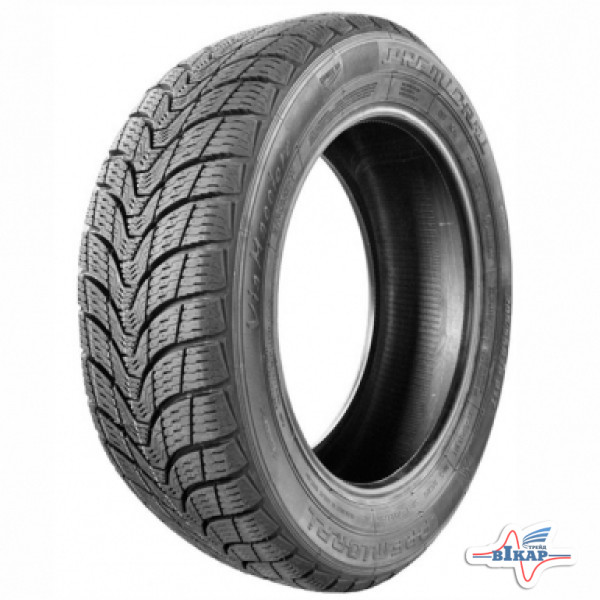 Шина 165/70R14 Premiorri ViaMaggiore 81Т Tubeless (БцШЗ) зима