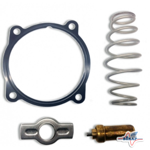 Термостат (504215464/504263917), CR9080 (дв. F3AE0684/F3BE0684)