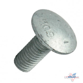 Болт M10x25 барабана ускорителя, стопорный (502511/216401/03M7191), Claas (Италия)