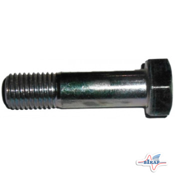 Болт (3014602) 6-ти гран. M20x75ls45xb25-8.8 Zn