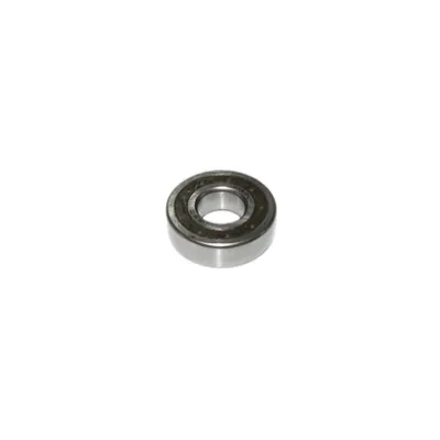 Обгонная муфта (подшипник одностор.) KK20 CSK20-M-C5 , Gaspardo, CTS (IT) Обгонная муфта (подшипник одностор.) KK20 CSK20-M-C5 , Gaspardo, CTS (IT)