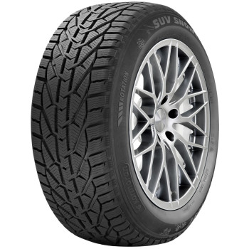 Шина Riken Snow 195/65 R15 91H